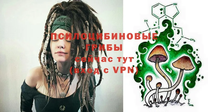 Галлюциногенные грибы Psilocybine cubensis  как найти   omg ONION  Реж 